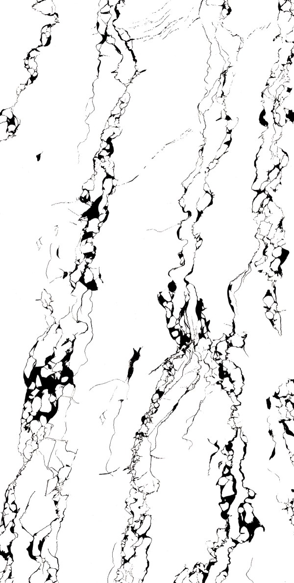 Portoro_White_Hg-8011-R1