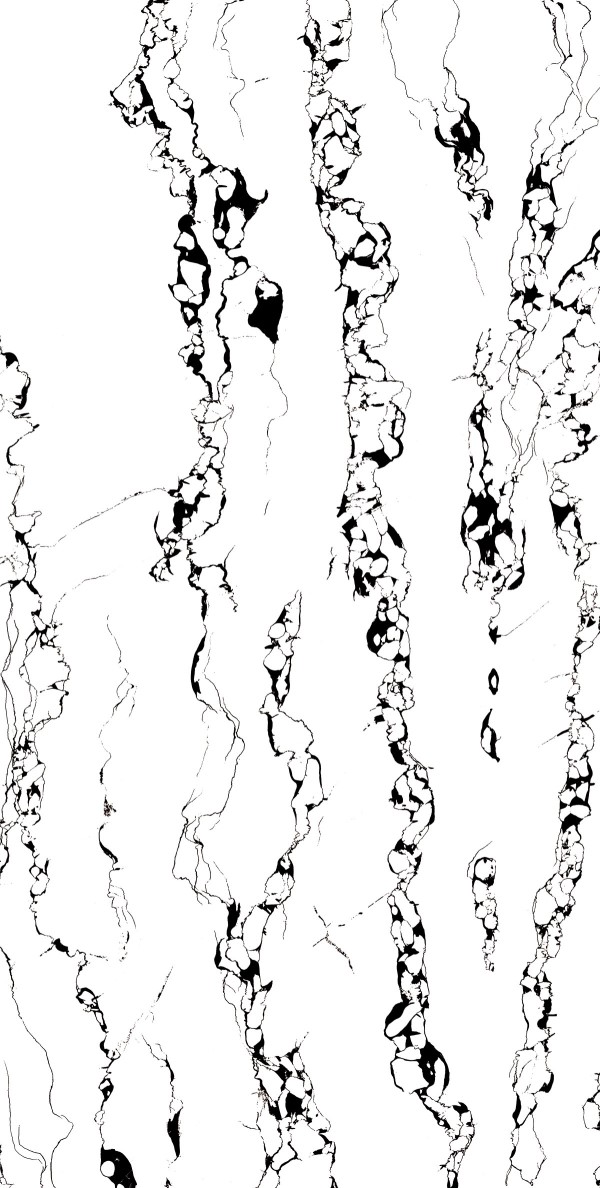 Portoro_White_Hg-8011-R2